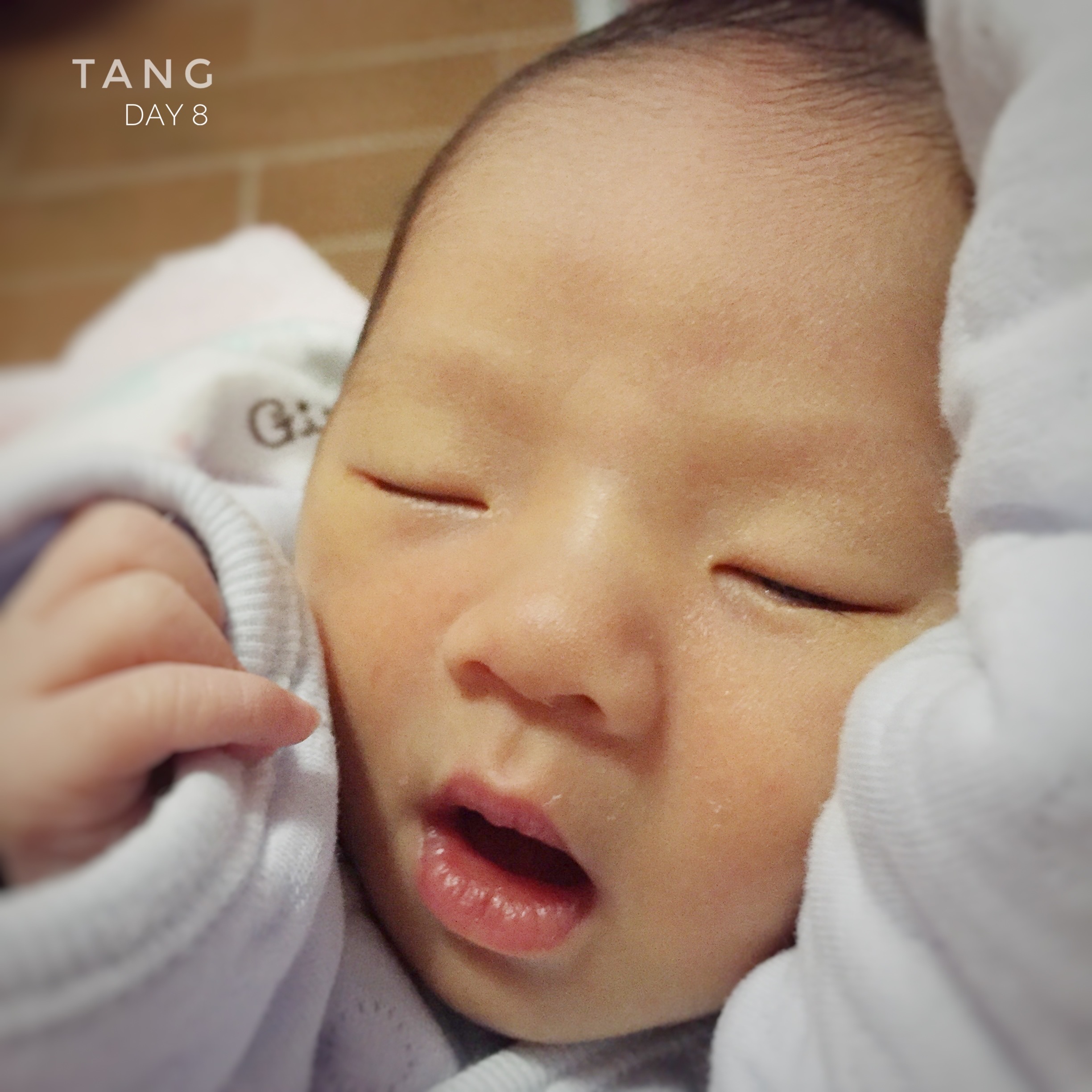 Tang - 糖糖的成长碎碎念